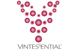 Vintessential-Logo_Horiz_V1