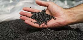 Image_15_cea8e39e0720404b97d889c7e9de9839