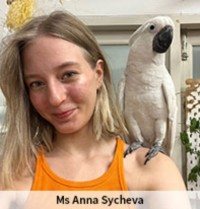 Image_29_f6411d1d156f468ea1f77febd7fc814d