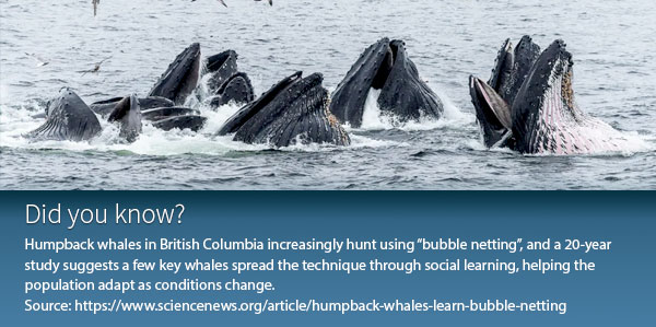 Image_2_75c9bee5a3ca4ff0bd76ec108fa9ed26