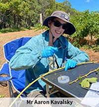 Image_31_975dcfd1af994169830f55f3901e683b